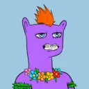 Timmy #2403