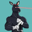 kangaroofightsociety#3456