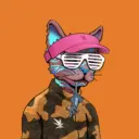 ALLEYKATZ04620