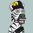 ZESTYZEBRA3199