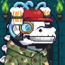 AccessKaiju#3644