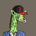 GenuineGiraffe_2036