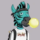 ZESTYZEBRA4567