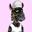 ZESTYZEBRA1246