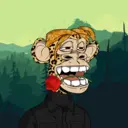 CardanoBoredApe374