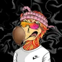 DoDo #2394