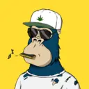 ChilledKong5476