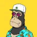 ChilledKong6669