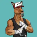 kangaroofightsociety#1777