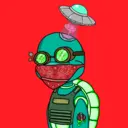 TTSTurtle4042