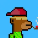 MonkeyWifhat3084