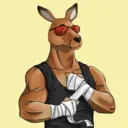 kangaroofightsociety#2097