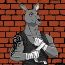 kangaroofightsociety#2954