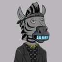 ZESTYZEBRA4557
