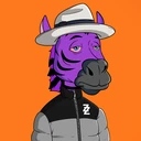 ZESTYZEBRA114