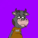 BlazedBullsNFTs2005