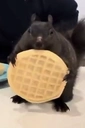 PeanutWifWaffle