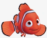 NEMO