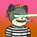 Bodhi_1687