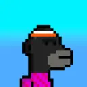 MoneyWifhat3425