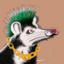 Possum #1778