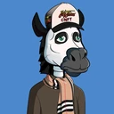 ZESTYZEBRA1010