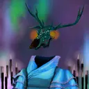 HOH_DOTD_0798