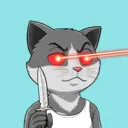 CATSTANBUL396