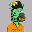 ZESTYZEBRA1794