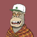 ChilledKong5901