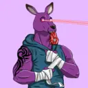 kangaroofightsociety#3404
