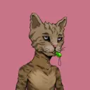 ALLEYKATZ00172
