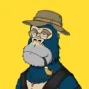 ChilledKong6259