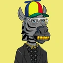 ZESTYZEBRA1350