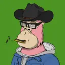 ChilledKong6202