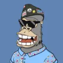 ChilledKong6654