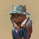BadFox5937