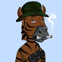 ZESTYZEBRA3887