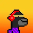 MoneyWifhat2338
