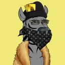 ZESTYZEBRA4436
