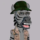 ZESTYZEBRA184