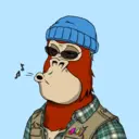 ChilledKong2636