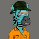 ZESTYZEBRA4608