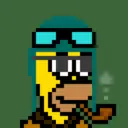 HomerPunks4159