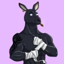 kangaroofightsociety#343