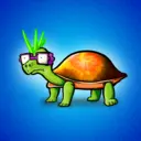 AwkwardTurtles781