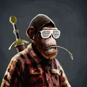 adapeBroderickMonet