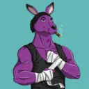 kangaroofightsociety#4893