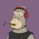 ChilledKong2541