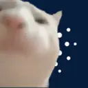 Vibecat